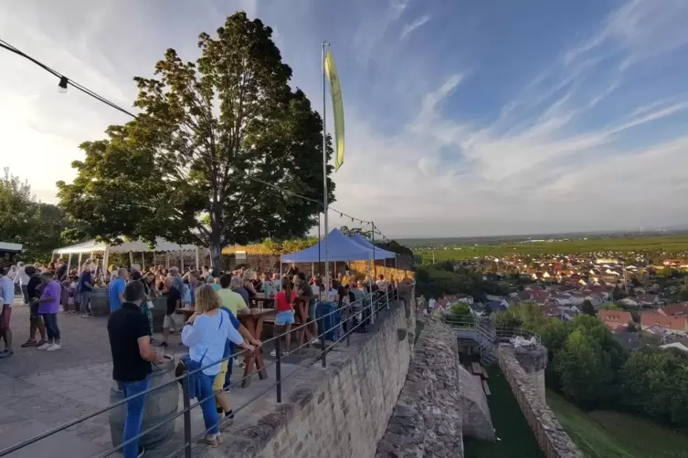 Blick vom „Balkon der Pfalz“ übers Rebenmeer: Fest auf der Wachtenburg.