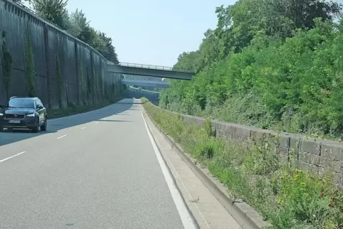 Optisch nicht schön, aber auch kein Problem mit Blick auf die Sicherheit im Straßenverkehr, schreibt der LBM zum Unkraut im Bahn