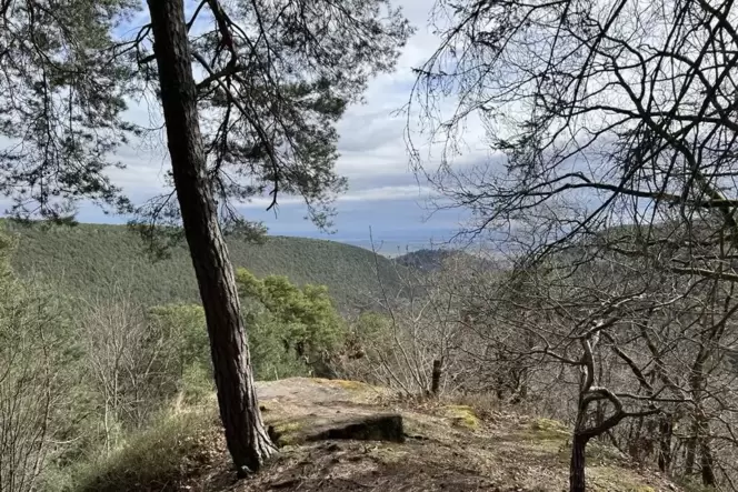 Die Aussicht vom Bräuningerfelsen auf die Rheinebene.
