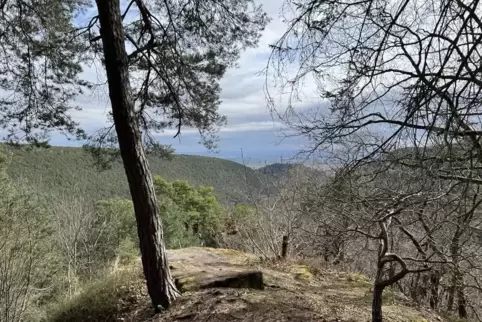 Die Aussicht vom Bräuningerfelsen auf die Rheinebene. 