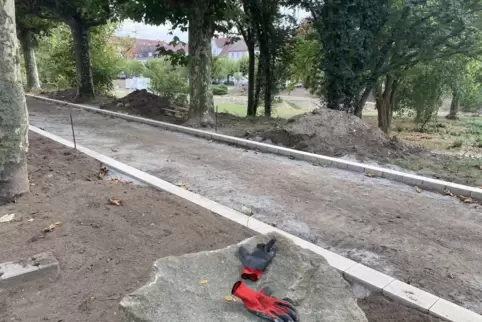 Rücken teilweise nahe an die Stämme der Platanen heran: Randsteine des neuen Weges um den Feuerbachpark. 