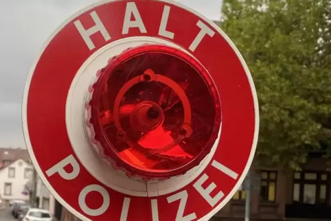 Auch auf die Sicherung der Kinder im Auto wurde geschaut. 