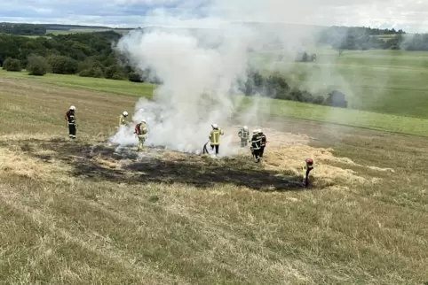 Das ist nur eine Übung: Bei einem Lehrgang lernten die Zweibrücker Feuerwehrleute die Besonderheiten von Wald- und Vegetationsbr