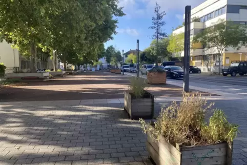 St.-Guido-Stifts-Platz: Kritikern missfällt die Umgestaltung von vor gut einem Jahrzehnt.