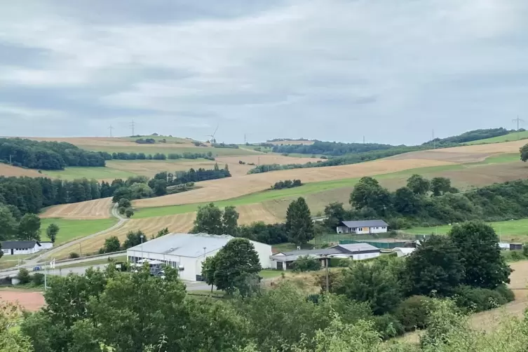 Die Westpfalzhalle ist das &bdquo;Aush&auml;ngeschild&ldquo; von Niederkirchen. Sie liegt am Ortsrand, rundherum haben sich Vereinsheime gruppier