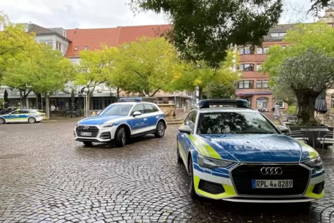 Die Polizeikräfte rückten mit drei Einsatzfahrzeugen auf dem Hallplatz an. Die Polizeikräfte rückten mit drei Einsatzfahrzeugen auf dem Hallplatz an.