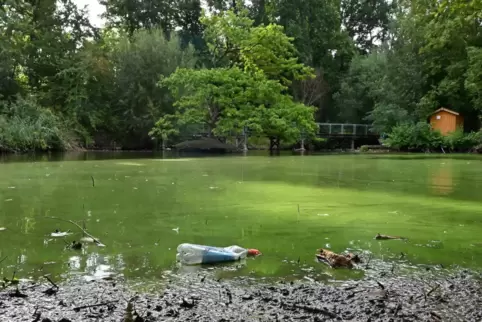 In der Vergangenheit wurden bereits mehrere Anläufe unternommen, um den Weiher im Deidesheimer Stadtgarten zu retten. 