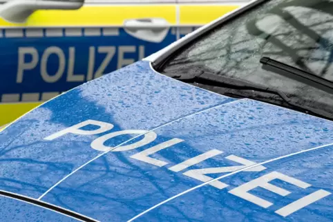Wer etwas zu Täter oder Tatgeschehen sagen kann, soll sich bei der Polizeiinspektion Bad Bergzabern melden. 