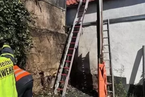 Die Fassadenbegrünung wurde durch den Brand beschädigt. 