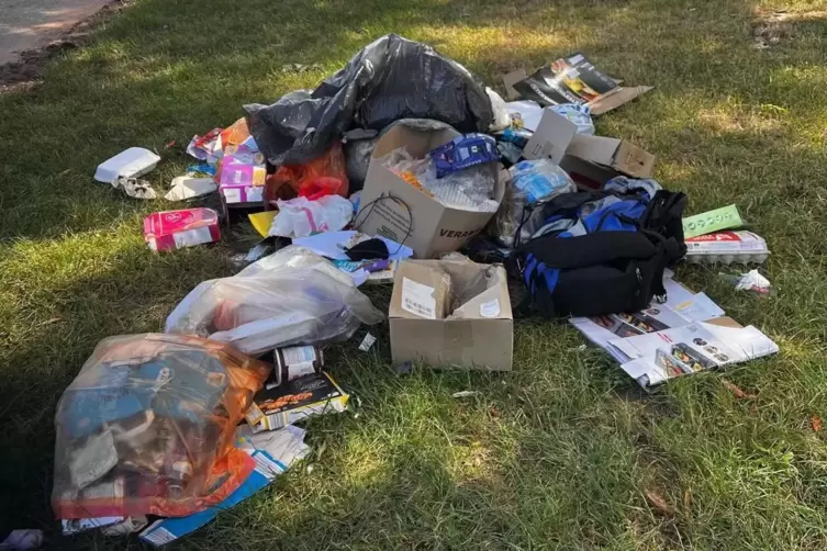 Illegale M&uuml;llablagerung zwischen Ranschbach und Leinsweiler, direkt am Radweg. 