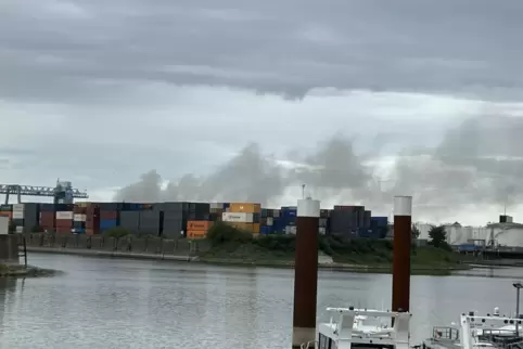 Die Rauchwolken waren in weiten Teilen von Ludwigshafen zu sehen. Wie in diesem Fall von der Parkinsel.