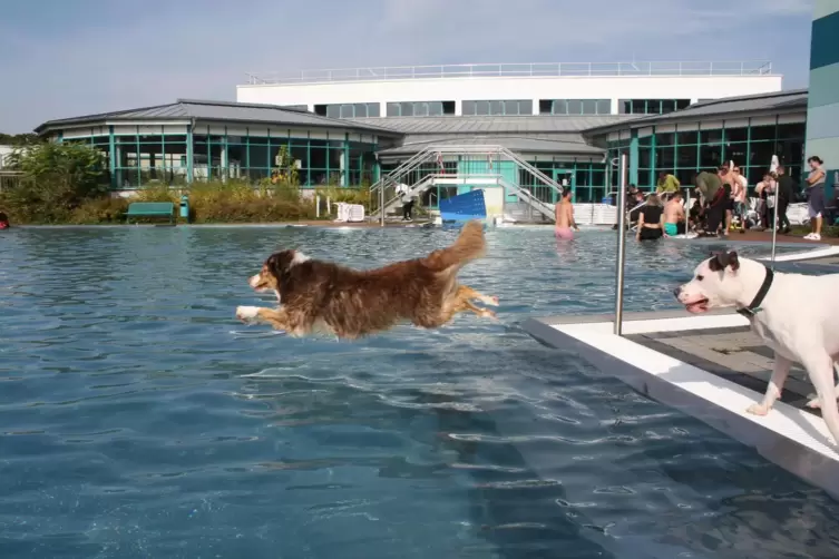Wenn die Vierbeiner das Au&szlig;enbecken im Aquabella f&uuml;r sich haben, wei&szlig; man, dass die Freibadsaison rum ist. 