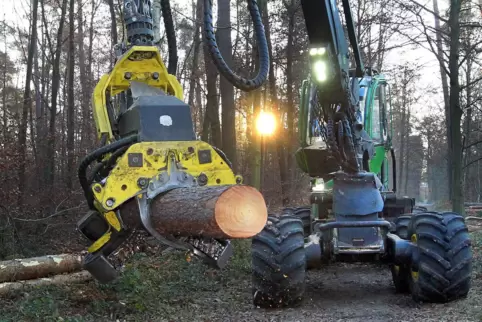 Harvester im Speyerer Wald: Holzernte in der Diskussion. Harvester im Speyerer Wald: Holzernte in der Diskussion.