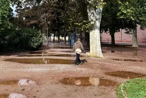 Oberer Domgarten: Weg zum Welterbe zwischen Pfützen. Oberer Domgarten: Weg zum Welterbe zwischen Pfützen.