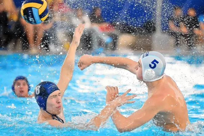 Im Wasserball geht es manchmal zur Sache. Im Wasserball geht es manchmal zur Sache.