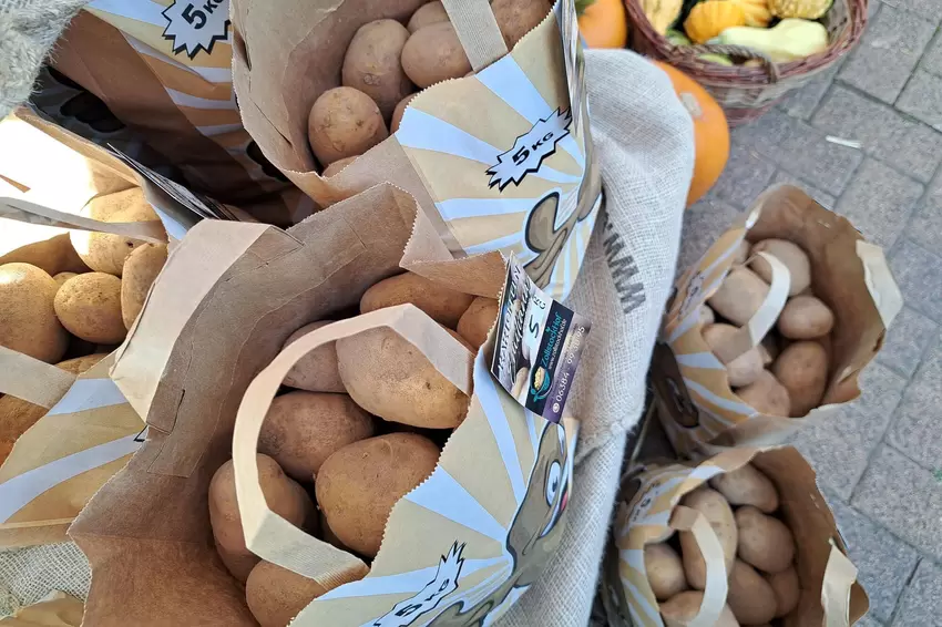 Dolle Knolle: Vom Zollstockhof kommen nicht nur Eier sondern auch frische Kartoffeln vom Feld.
