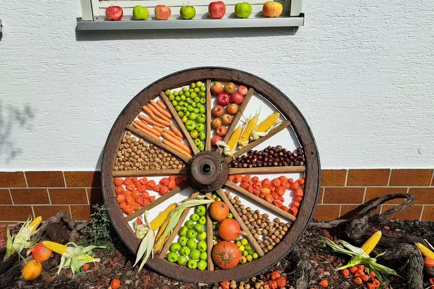 Passend dekoriert: Angepackt hat hier der Konker Obst- und Gartenbauverein.