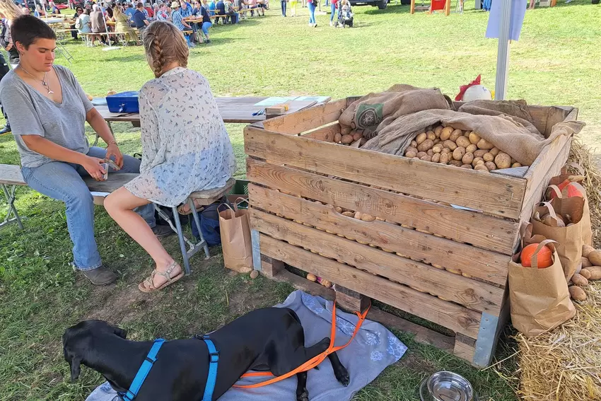 Chillen bei den Kartoffeln: nicht nur die Menschen gönnten sich ab und an ein Päuschen.
