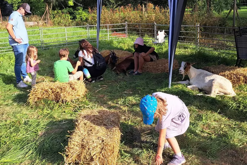 Streichelzoo im »Kinderparadies« des Bauernmarkts. Die Ziegen kamen aus dem Saarland.