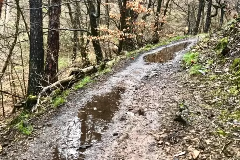 Jetzt kommt der Herbst mit Schmuddelwetter zurück. 
