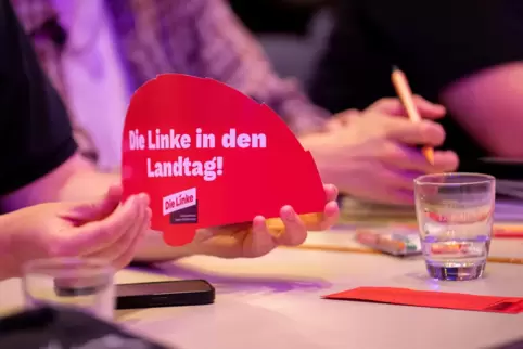 Foto einer Linken-Wahlversammlung in Baden-Württemberg. 