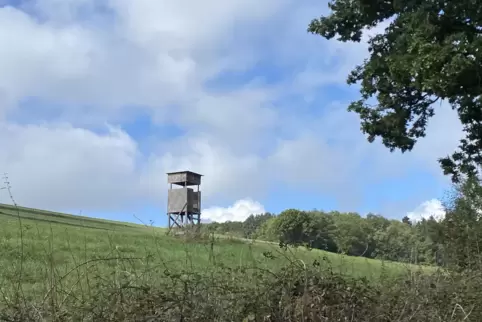 Nächste Woche bleibt es überwiegend trocken. Für einen Spaziergang im Freien sollte allerdings auf dickere Kleidung zurückgegrif