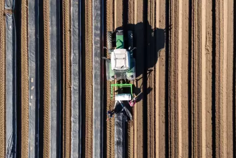 Mit einem Traktor werden Spargeldämme mit Folie abgedeckt. Die technische Entwicklung in der Landwirtschaft über die vergangenen