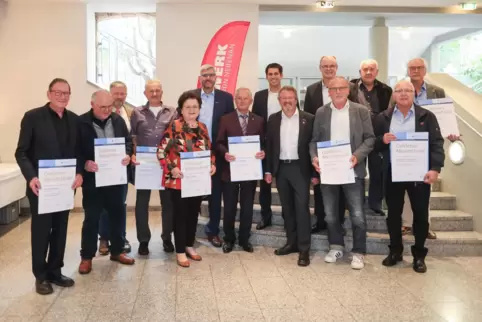 Die geehrten Handwerksmeister aus der Südwestpfalz und ihre Gratulanten.