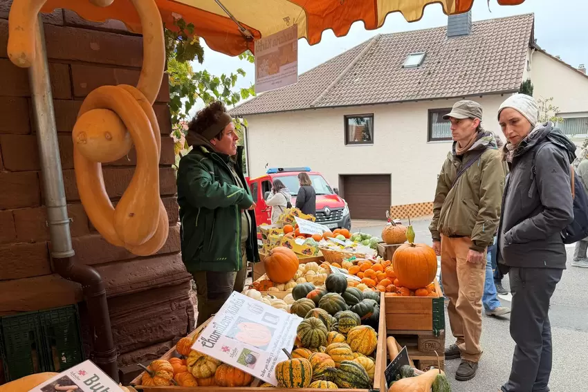 Stand mit Kürbissen.