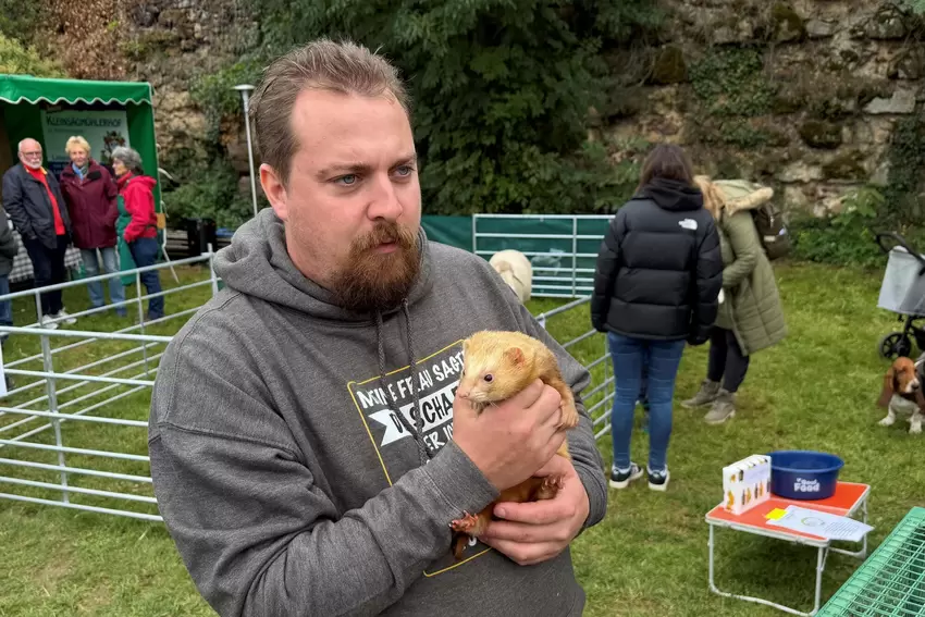 Julian Koch mit Frettchen.