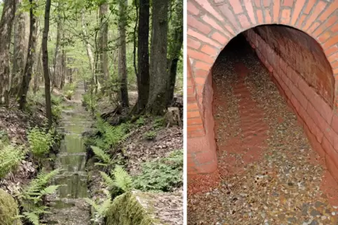 Die Lauterspring liefert Wasser für Kaiserslautern. 