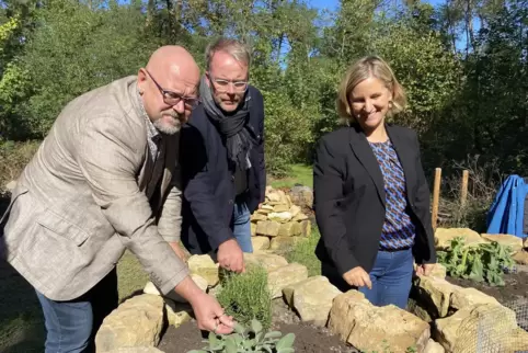Bewundern die Kräuter im Schlüssellochbeet (von links): Landtagsabgeordneter Claus Schick (SPD), Bürgermeister Tobias Meyer (CDU