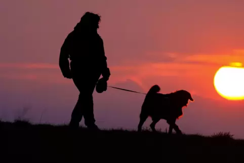 Die Hundesteuer ist in Römerberg schon lange nicht mehr erhöht worden.
