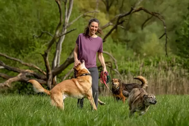 Nicht nur die Kosten, sondern auch die Zeit und Fürsorge für einen Hund werden häufig unterschätzt, sagt Hundetrainerin Jennifer Nicht nur die Kosten, sondern auch die Zeit und Fürsorge für einen Hund werden häufig unterschätzt, sagt Hundetrainerin Jennifer