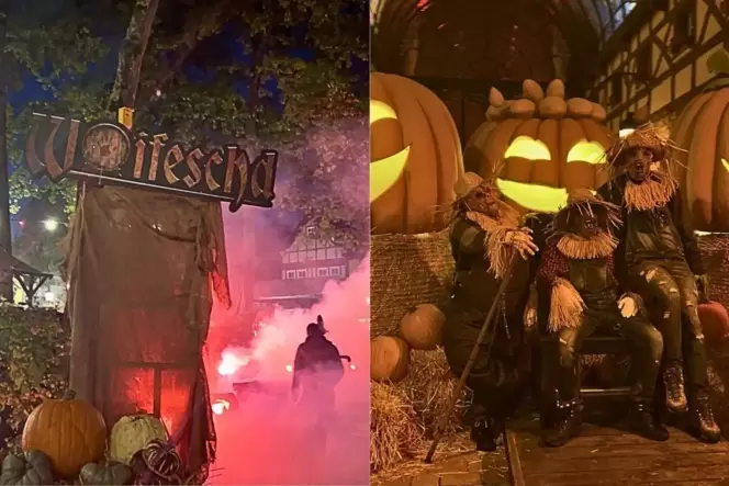 Ein Weinfest voller Untoter: Das bekommen Besucher des Plopsalands aktuell geboten.