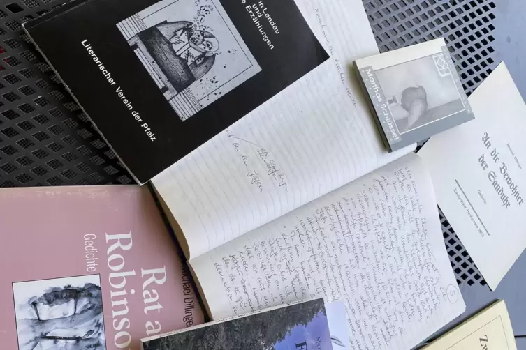 Einige B&uuml;cher von Michael Dillinger. 