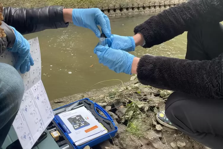 Nitrat- und Phosphatgehalt des Wassers werden ebenfalls ermittelt. 