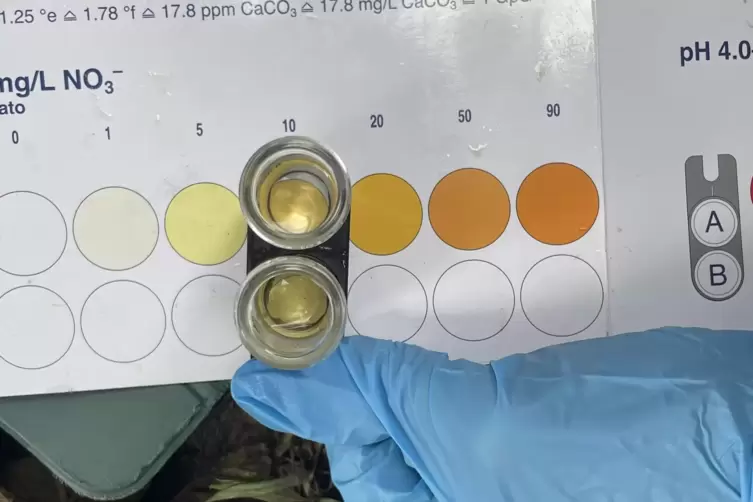Der Nitratwert liegt hier bei zehn Milligramm pro Liter: immerhin besser als an einer anderen Messstelle, an der sich ein Wert v