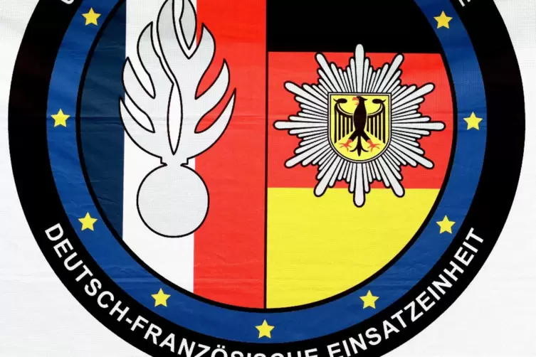 Das Abzeichen der Einheit.