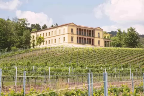 Über 300 Werke sind am Wochenende auf der Villa Ludwigshöhe zu sehen. 