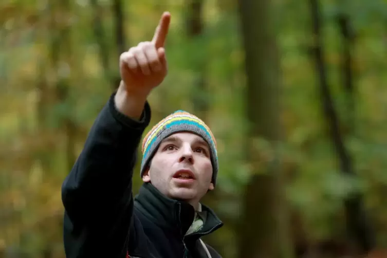 Tobias Keller, Leiter des Reviers Bad Bergzabern im Forstamt Annweiler, ist die Saatgutsammlung eine Herzensangelegenheit. 