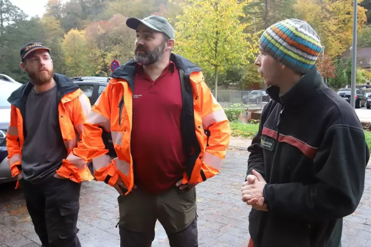 Daniel Weilemann, Sebastian Greiner und Tobias Keller (von links) vom Forstamt Annweiler begutachten die Baumf&auml;llarbeiten. 