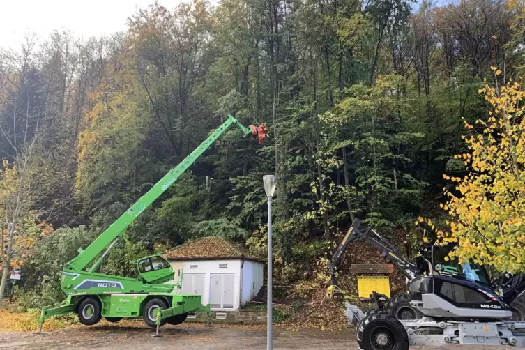 F&uuml;r die Arbeiten musste ein F&auml;llkran anr&uuml;cken. 