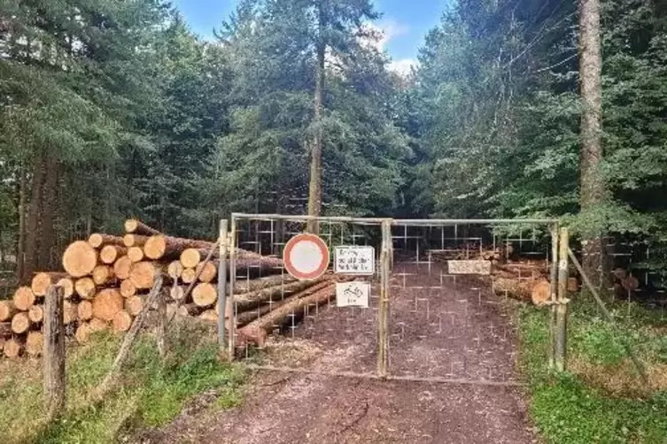 Gesperrter Forstweg am Hermersbergerhof: Auf der Fl&auml;che dahinter laufen sowohl F&auml;llungen als auch Neupflanzungen. 