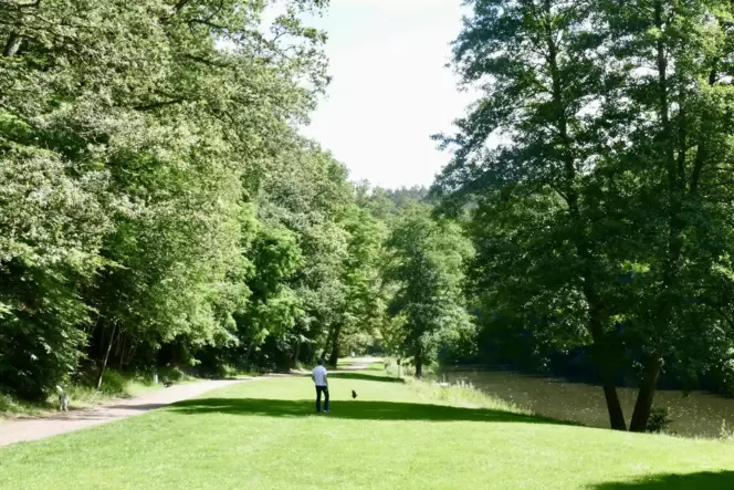 Das Areal am Eisweiher sollte über die Landesgartenschau besser mit der Innenstadt verbunden werden.