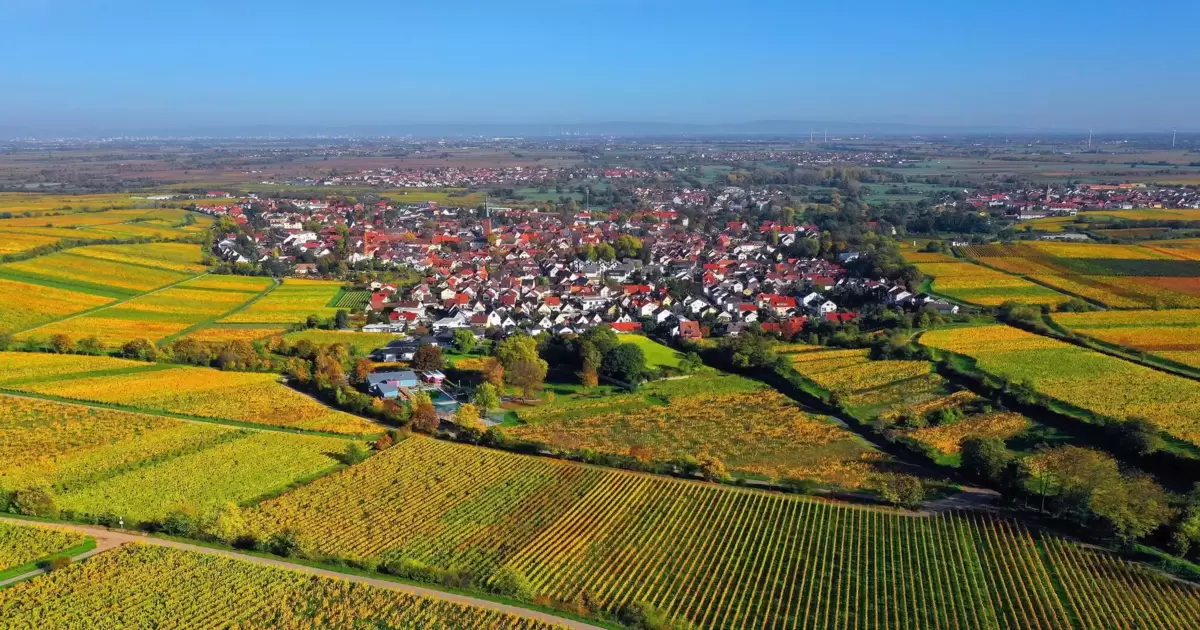 Rheinpfalz Bad Durkheim