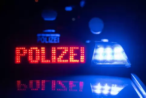 Die Kontrollen fanden in Ludwigshafen, Frankenthal, Speyer und Schifferstadt statt. 