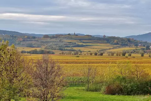Auf dem von unserer Autorin vorgeschlagenen Herbstspaziergang bietet sich auch der Blick nach Westen auf die verfärbten Weinberg