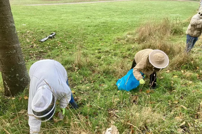 Danach helfen Tanja Schneider aus Niederauerbach (rechts) und Bärbel Klein aus Großsteinhausen beim Aufsammeln der getöteten Hor