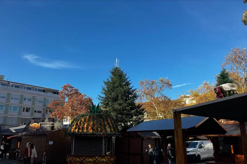 Blick auf den Rathausplatz in Frankenthal mit den Weihnachtsmarkt-Buden und dem Weihnachtsbaum.